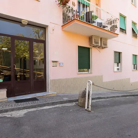 Relax * سورينتو